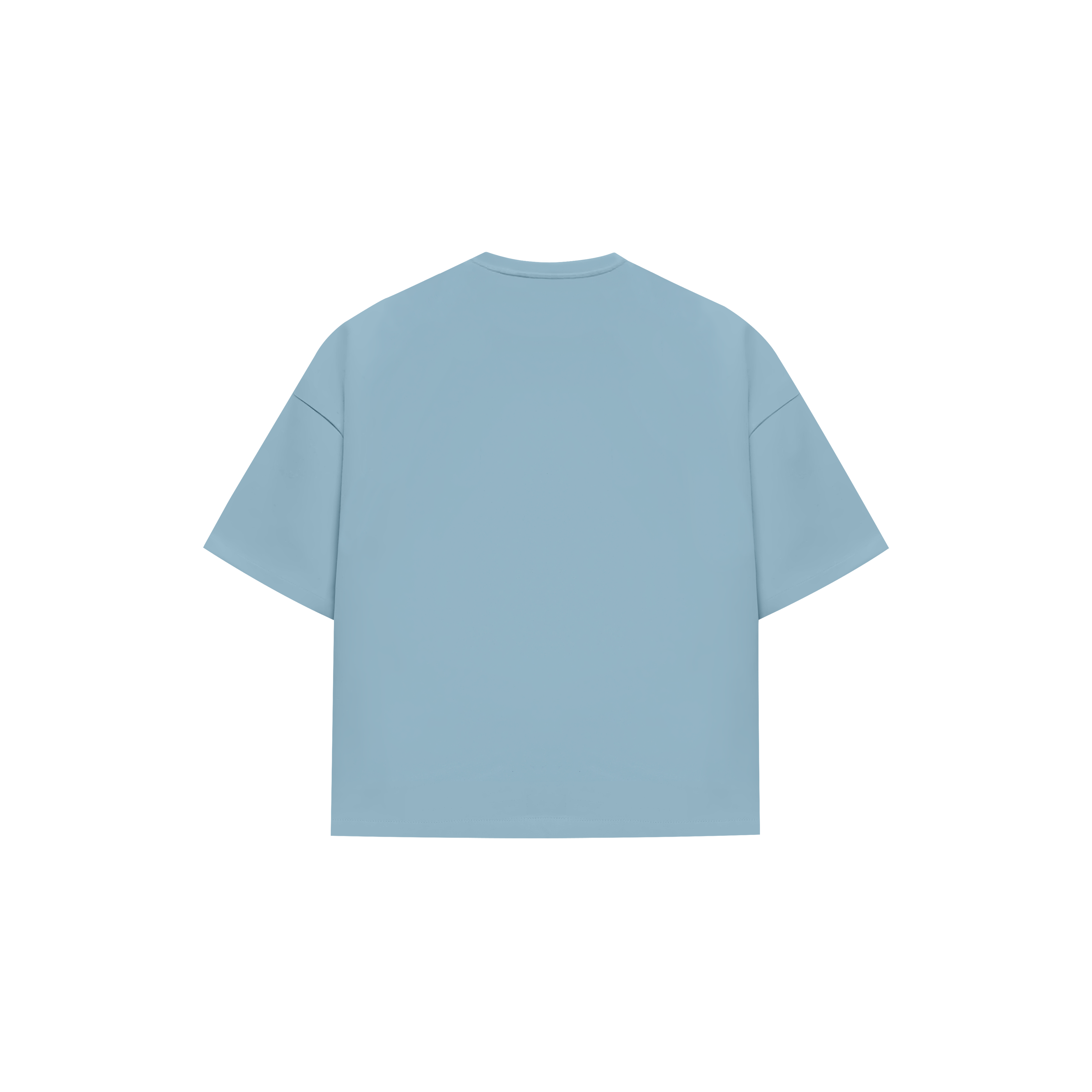 Heavyweight Baby Blue T-Shirt