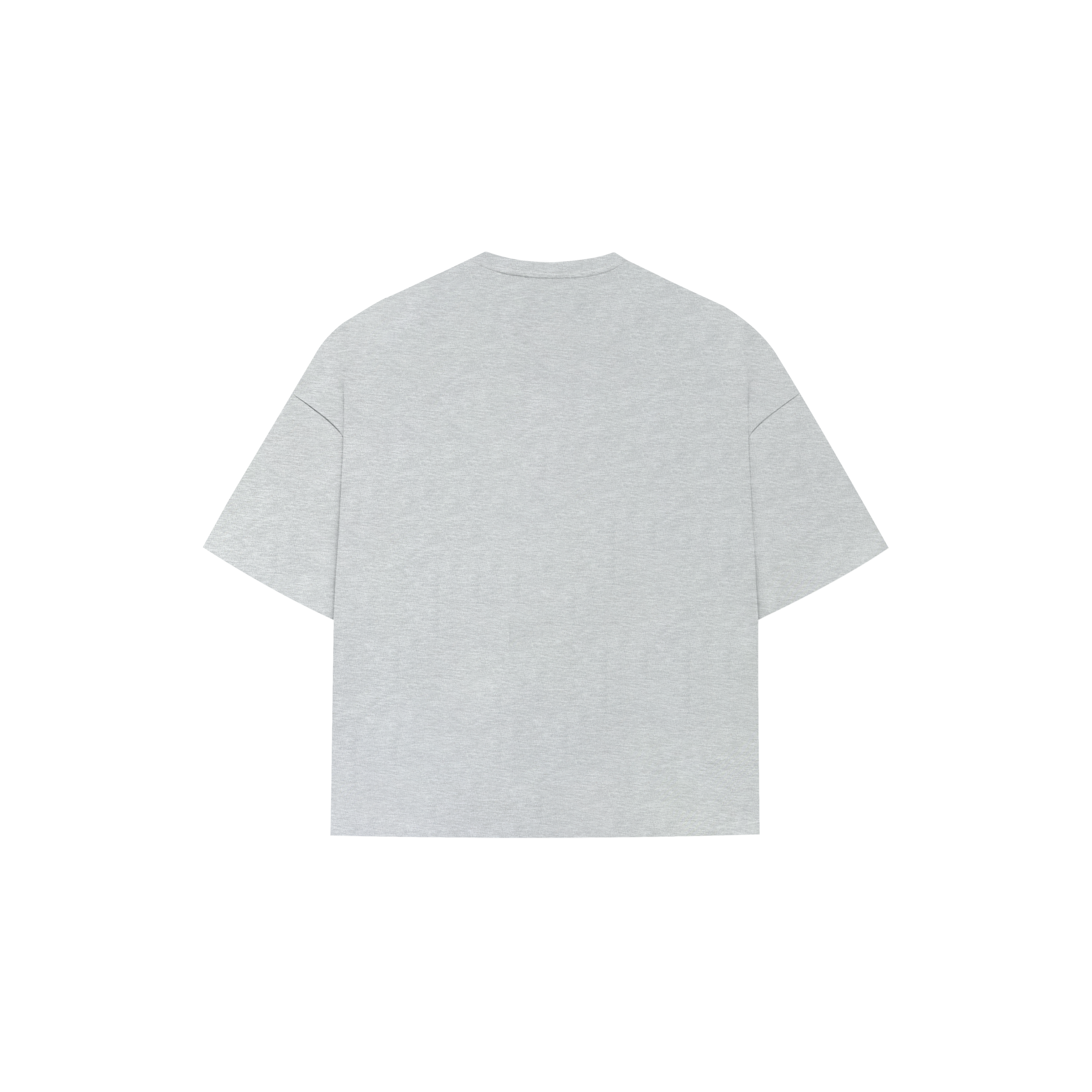 Heavyweight Gym Grey T-Shirt