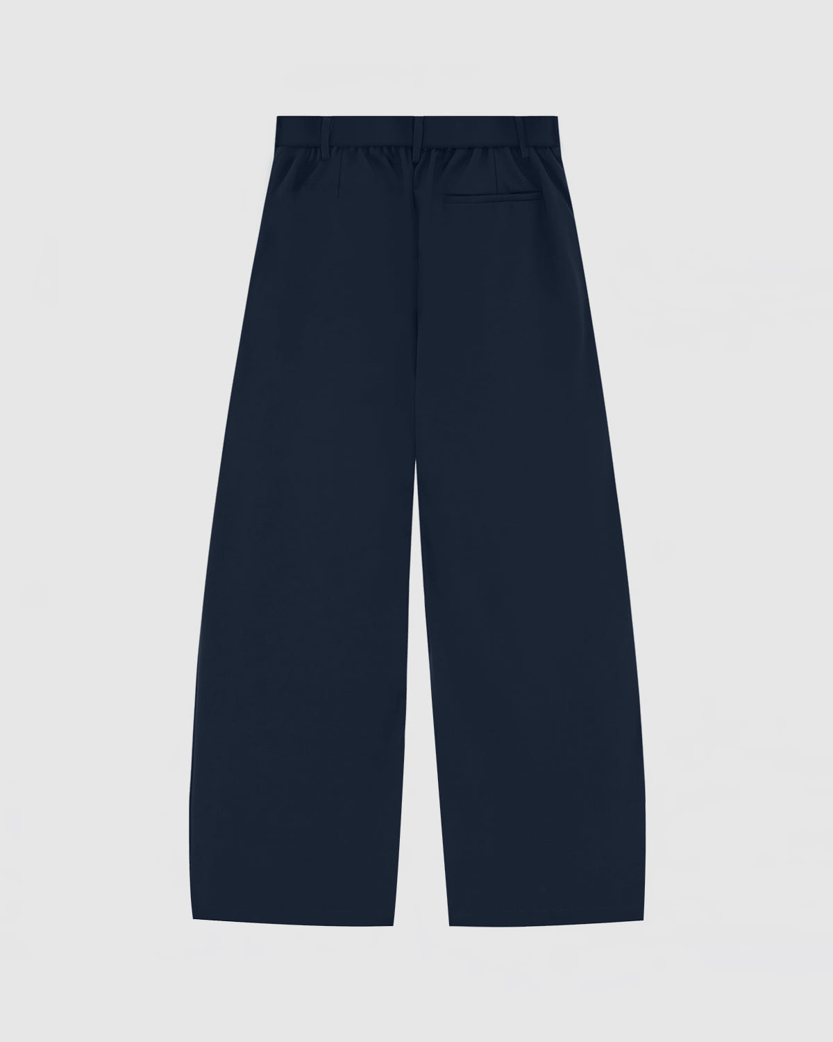 Canvas Pleated Pants - Navy Blue