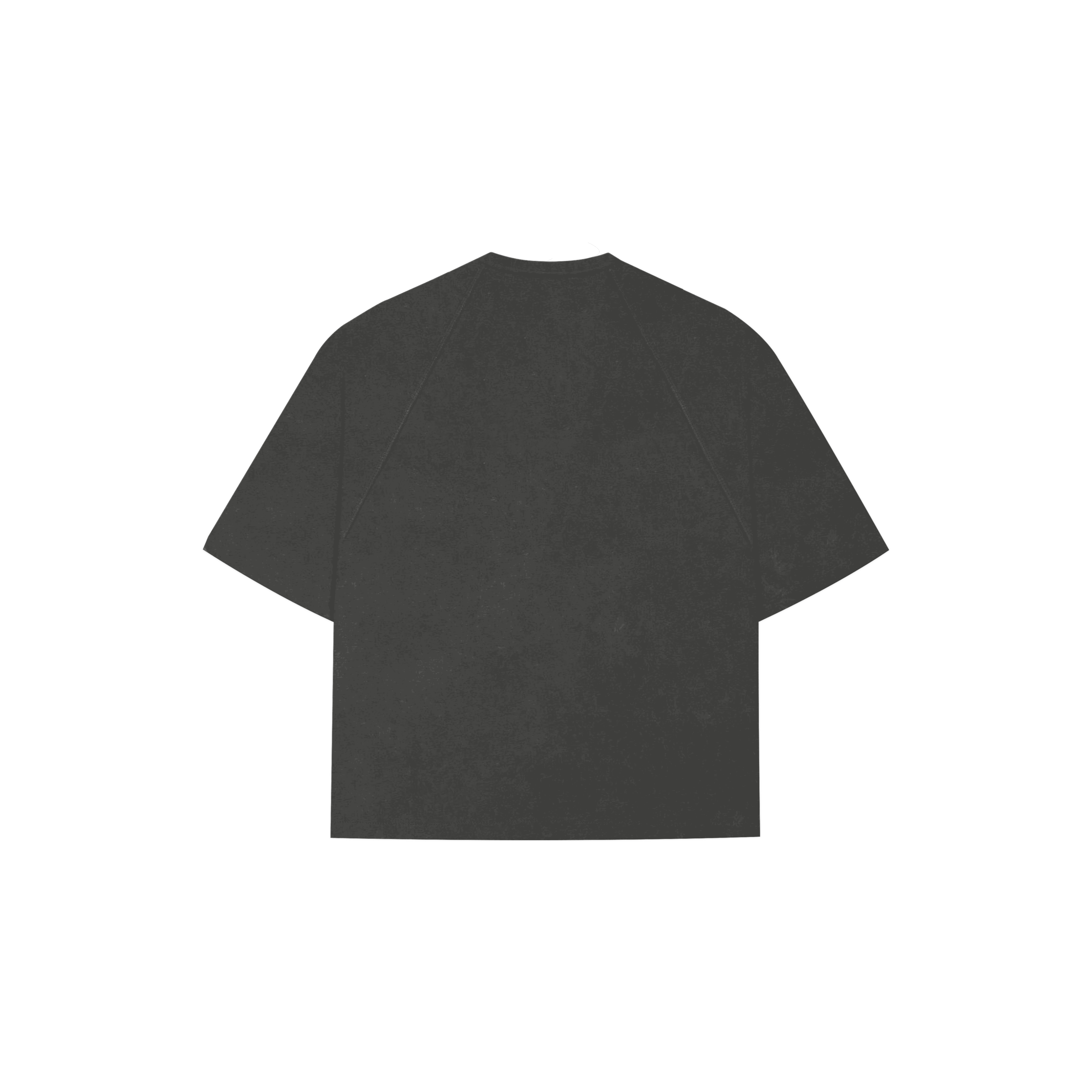 Everyday Stone Wash Tee