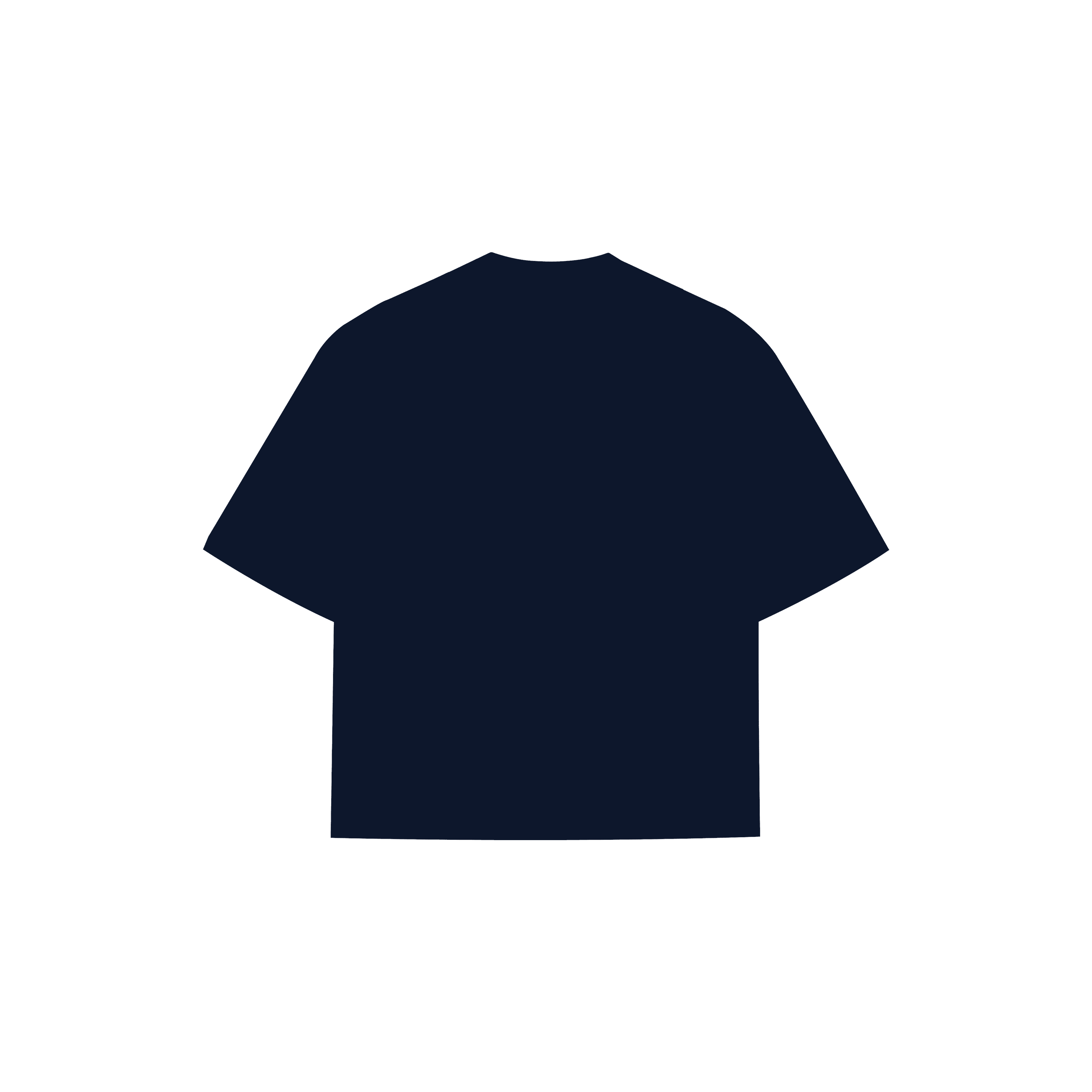 Everyday Navy Blue Tee