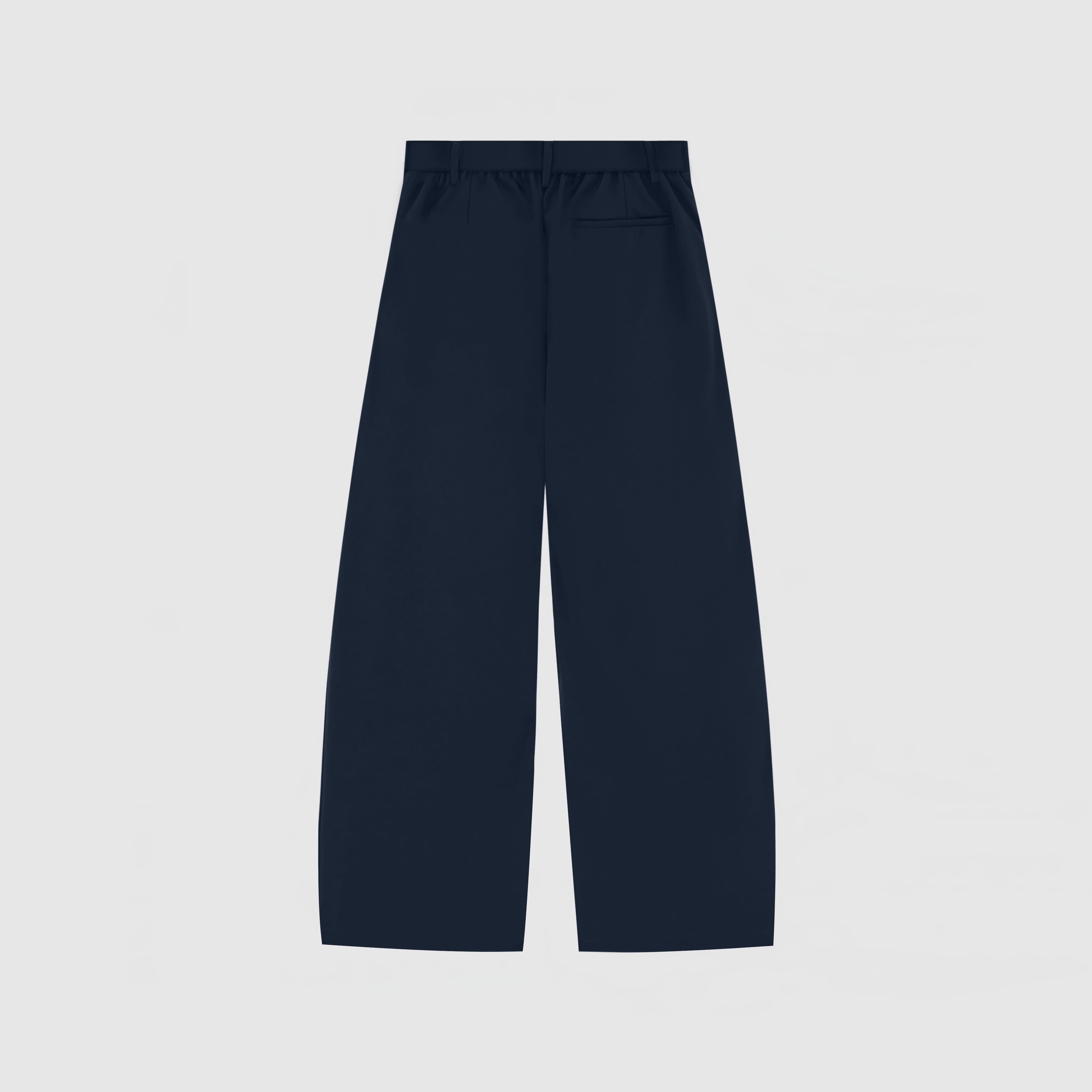 Canvas Pleated Pants - Navy Blue